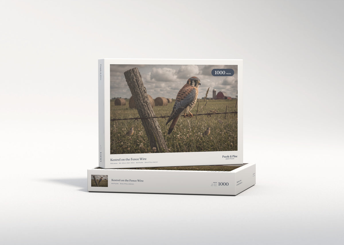 Kestrel on the Fence Wire jigsaw puzzle - gift box