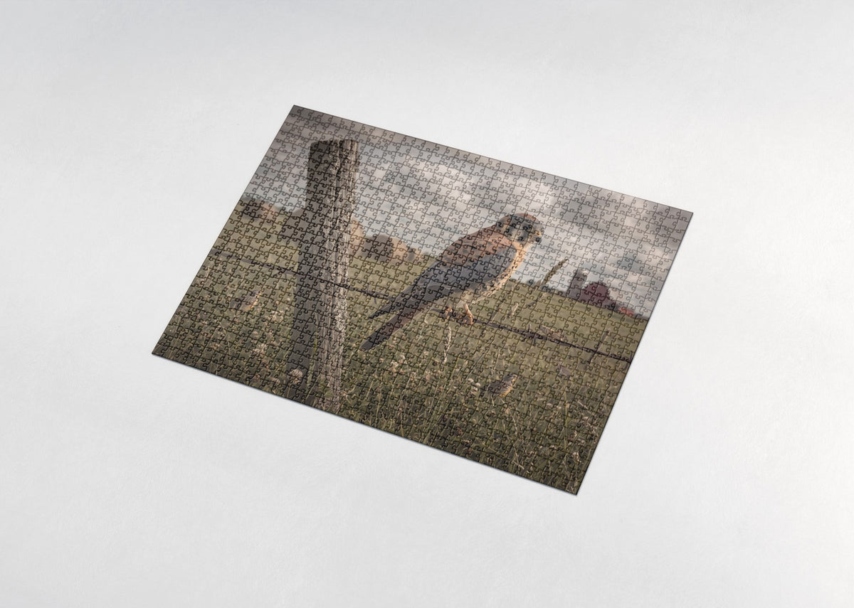 Kestrel on the Fence Wire jigsaw puzzle - assembled puzzle