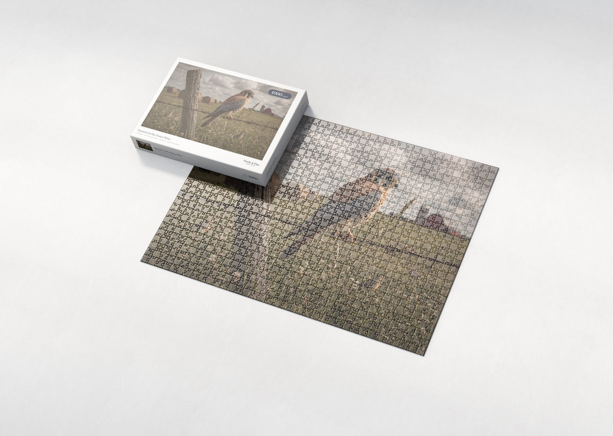 Kestrel on the Fence Wire jigsaw puzzle - box and puzzle