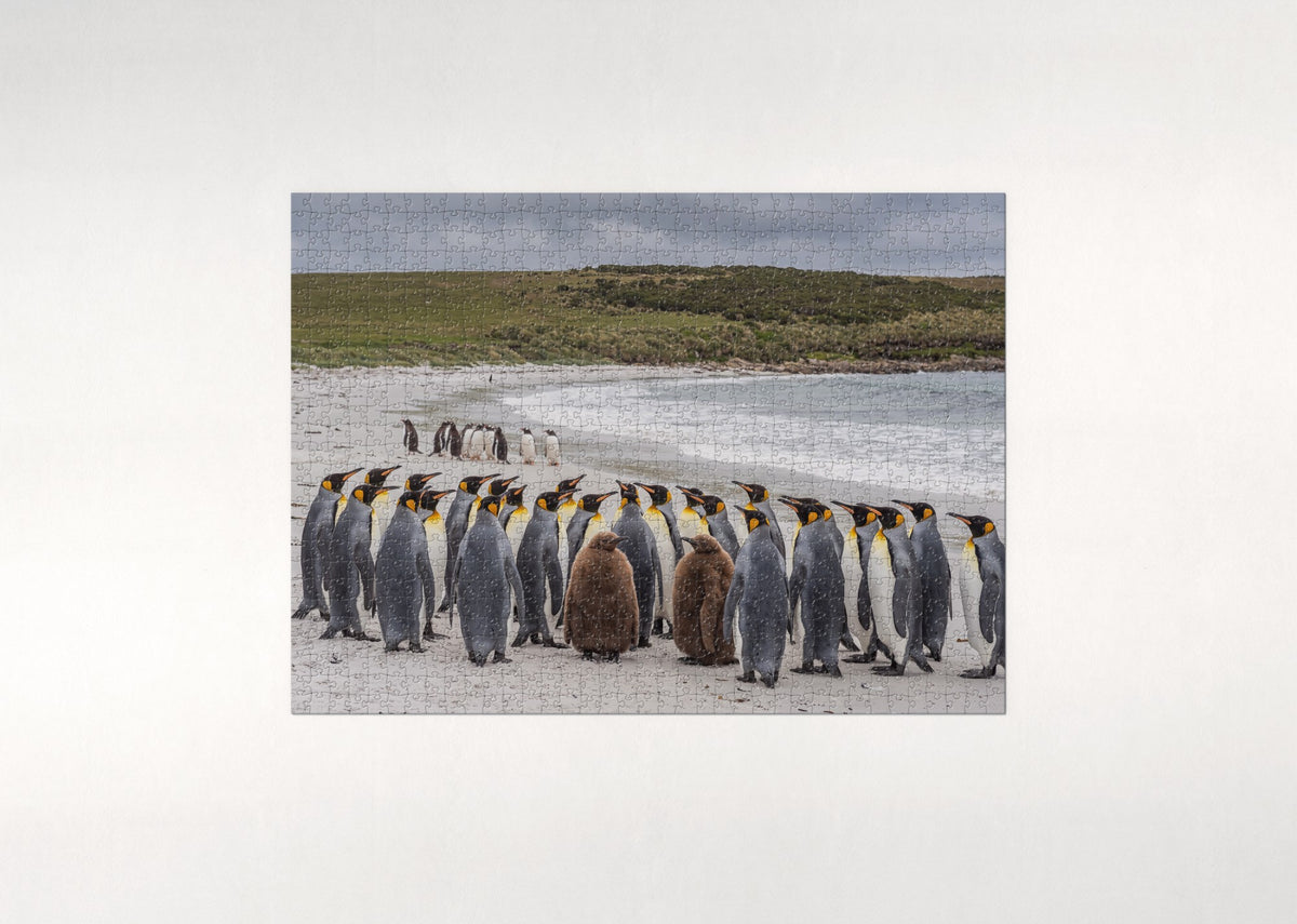King Penguins at the Falkland Shore jigsaw puzzle - flat puzzle