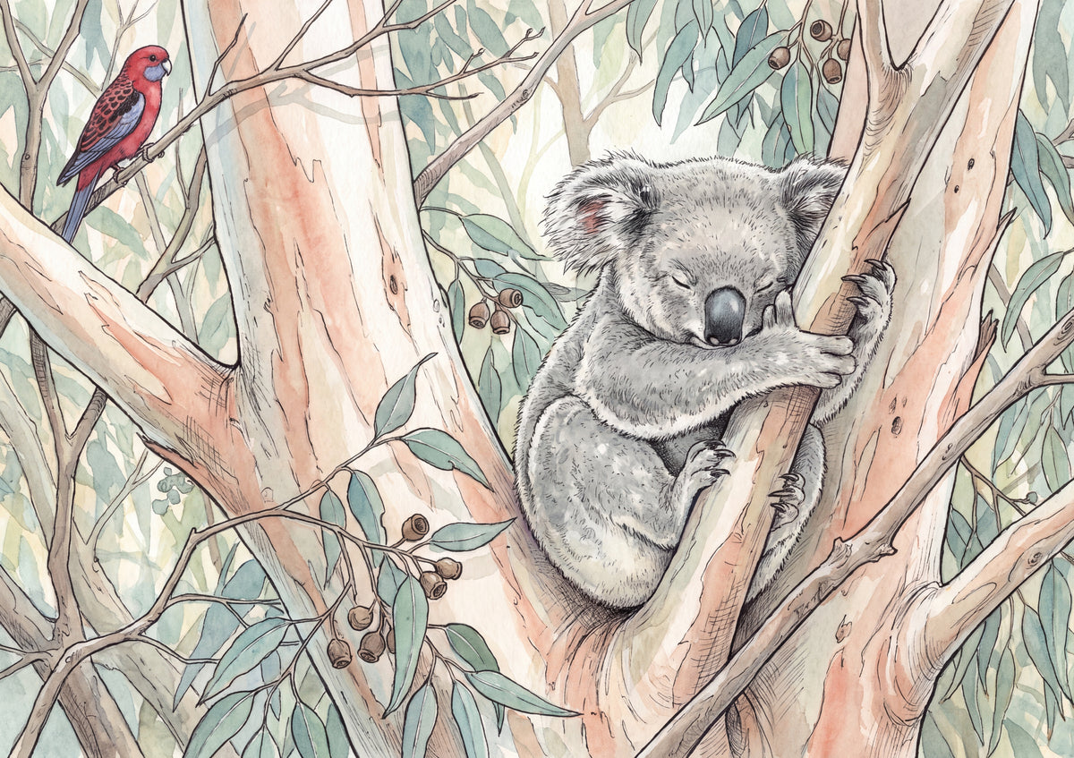 Koala Sleeping in the Eucalyptus jigsaw puzzle