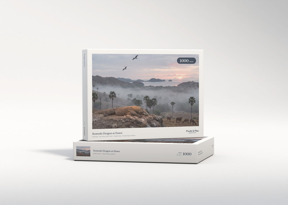 Komodo Dragon at Dawn jigsaw puzzle - gift box