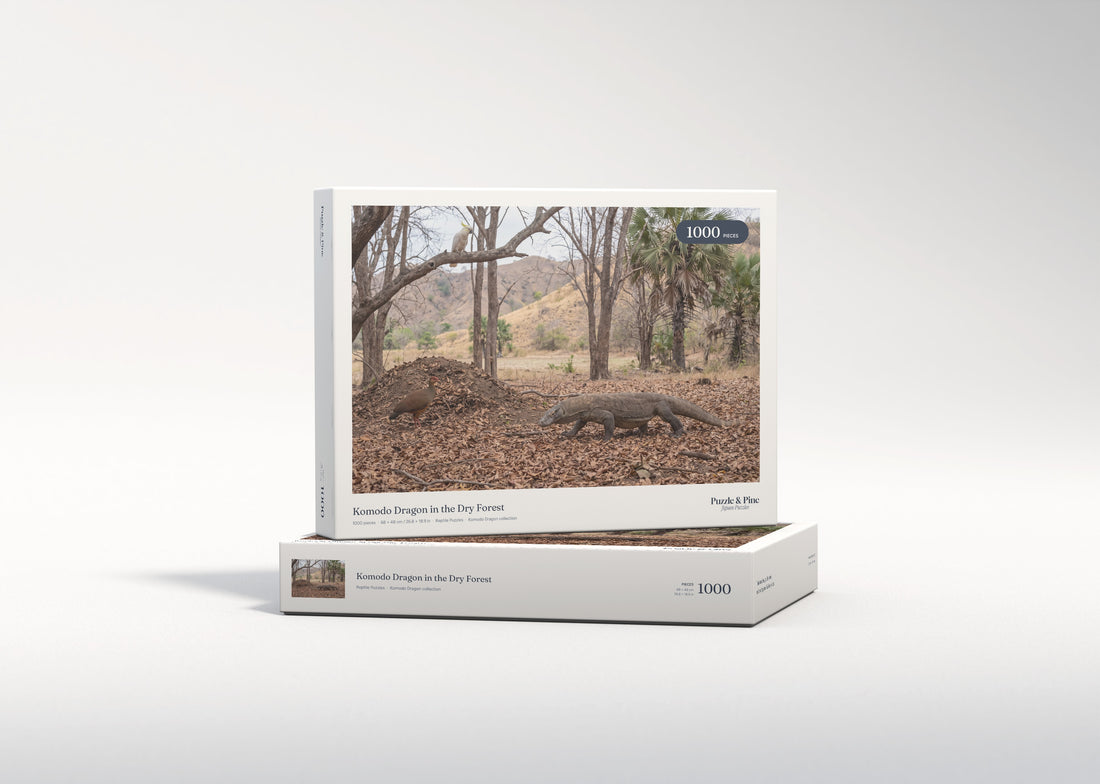 Komodo Dragon in the Dry Forest jigsaw puzzle - gift box