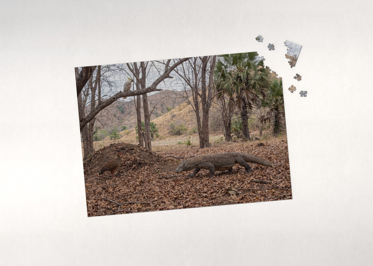 Komodo Dragon in the Dry Forest jigsaw puzzle - puzzle with loose pieces