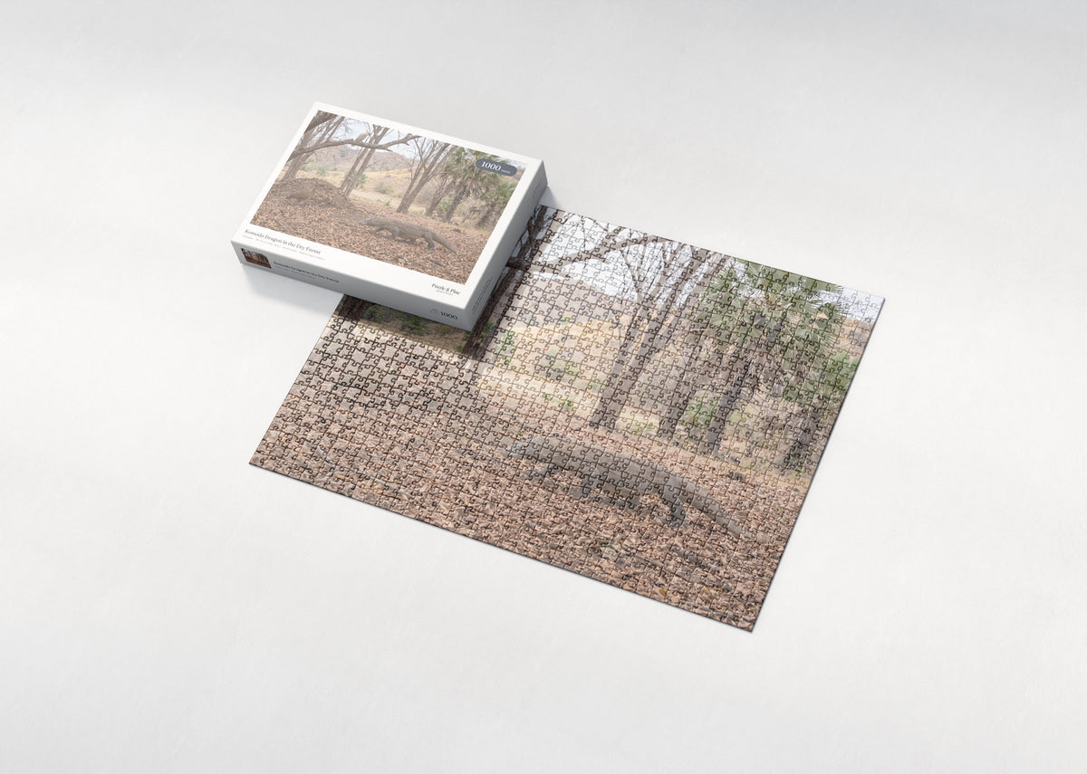 Komodo Dragon in the Dry Forest jigsaw puzzle - box and puzzle