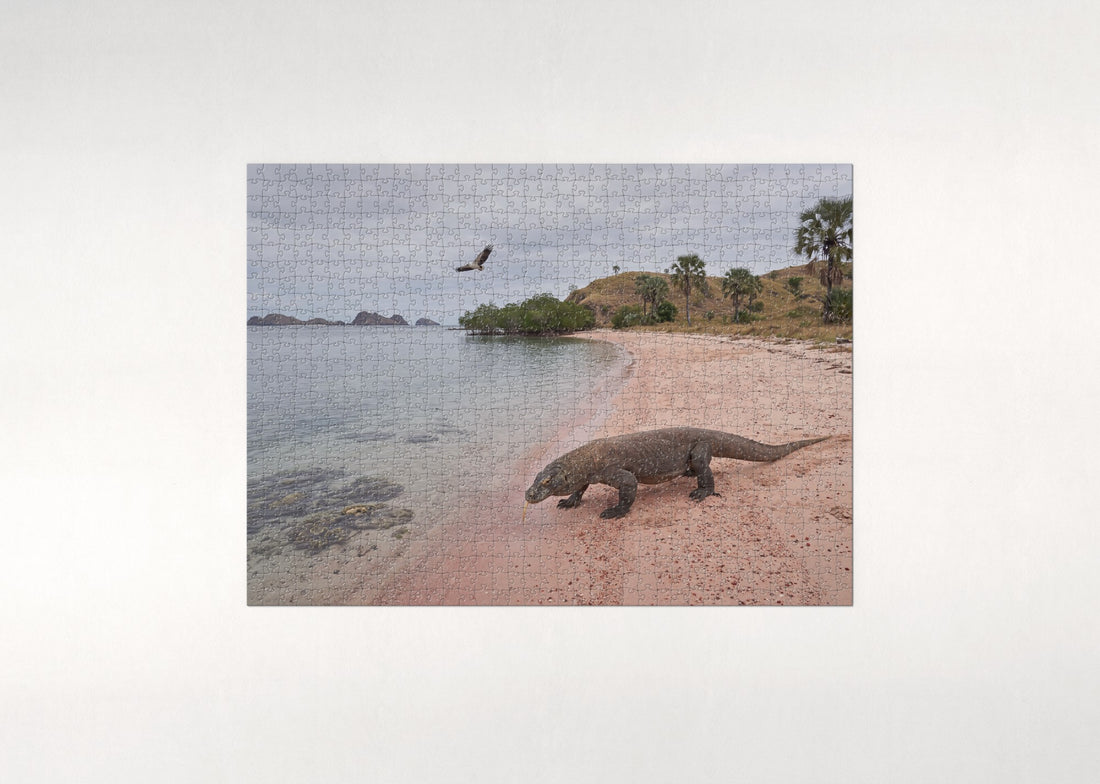 Komodo Dragon on the Island Beach jigsaw puzzle - gift box
