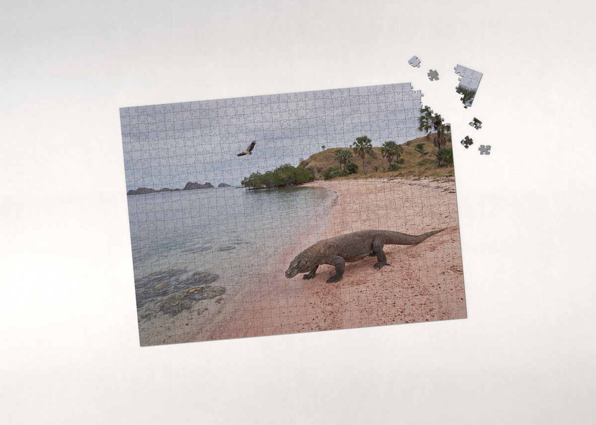 Komodo Dragon on the Island Beach jigsaw puzzle - puzzle with loose pieces