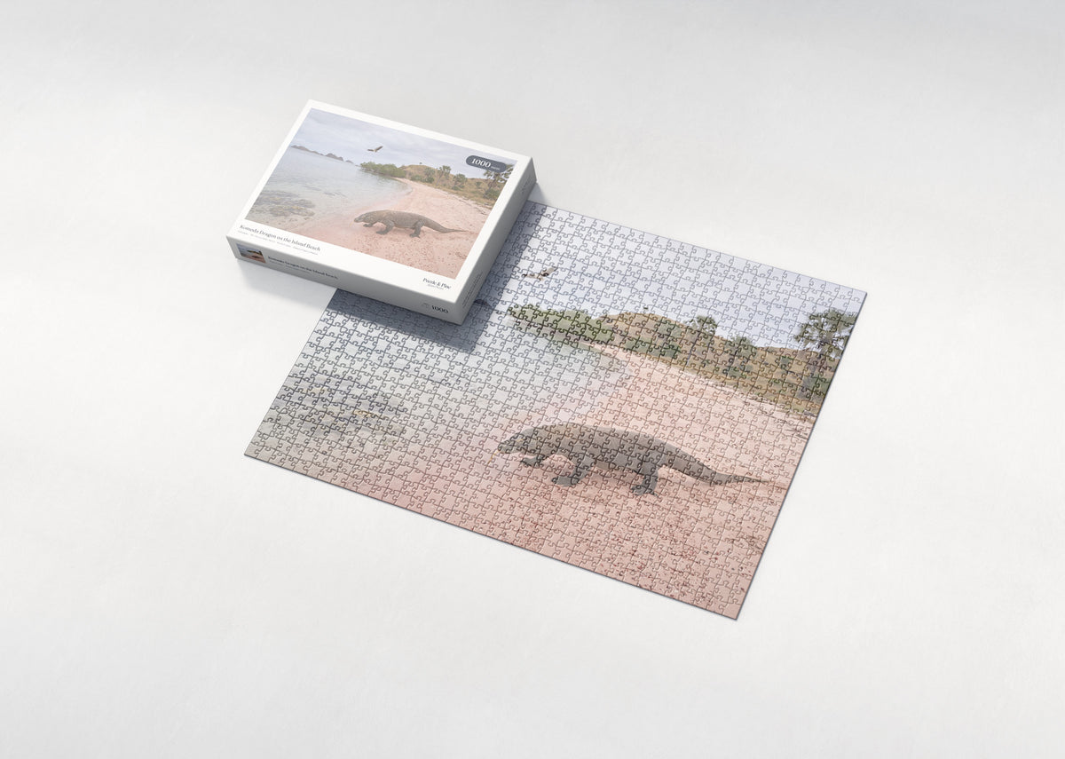 Komodo Dragon on the Island Beach jigsaw puzzle - box and puzzle