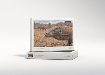 Komodo Dragon Portrait jigsaw puzzle - gift box
