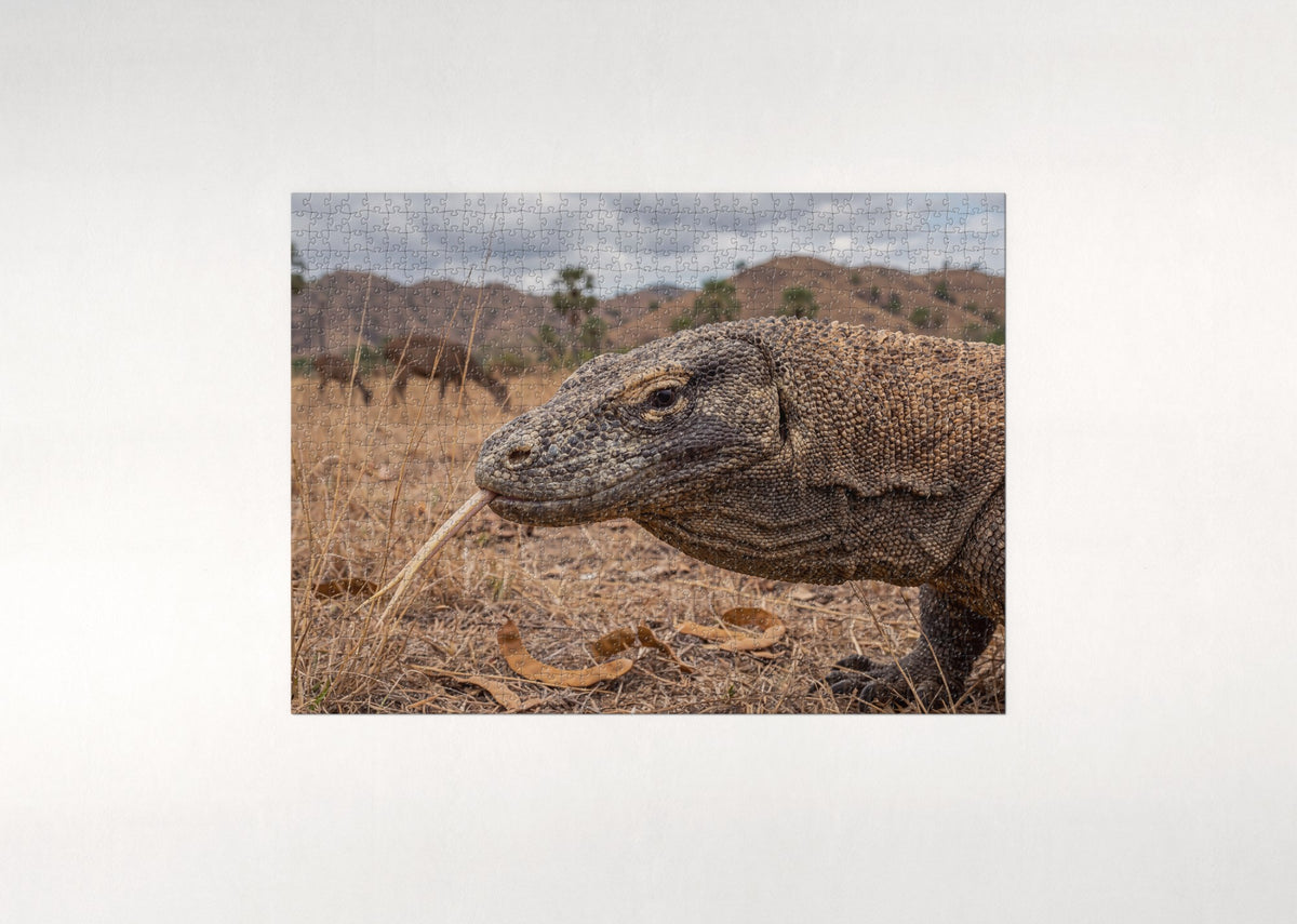 Komodo Dragon Portrait jigsaw puzzle - flat puzzle