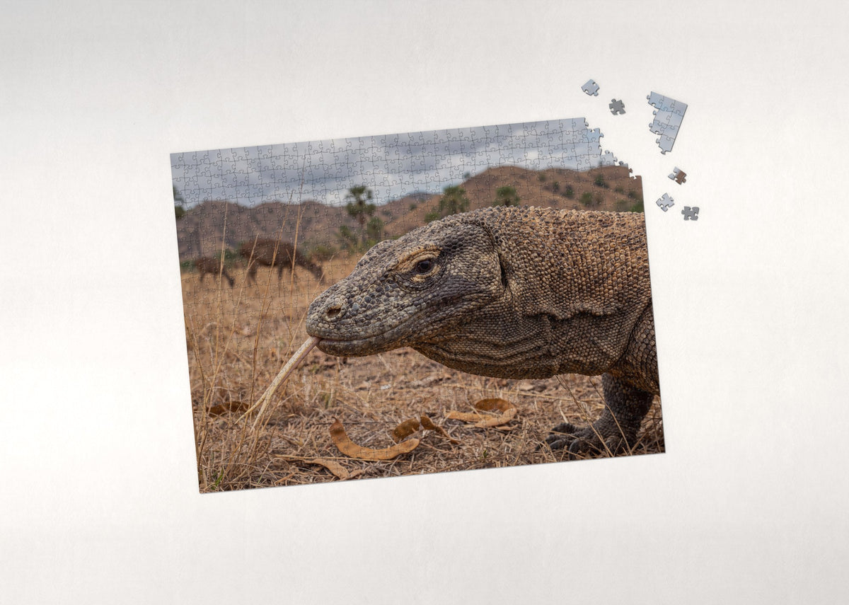 Komodo Dragon Portrait jigsaw puzzle - puzzle with loose pieces