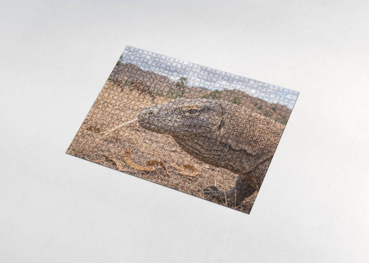Komodo Dragon Portrait jigsaw puzzle - assembled puzzle