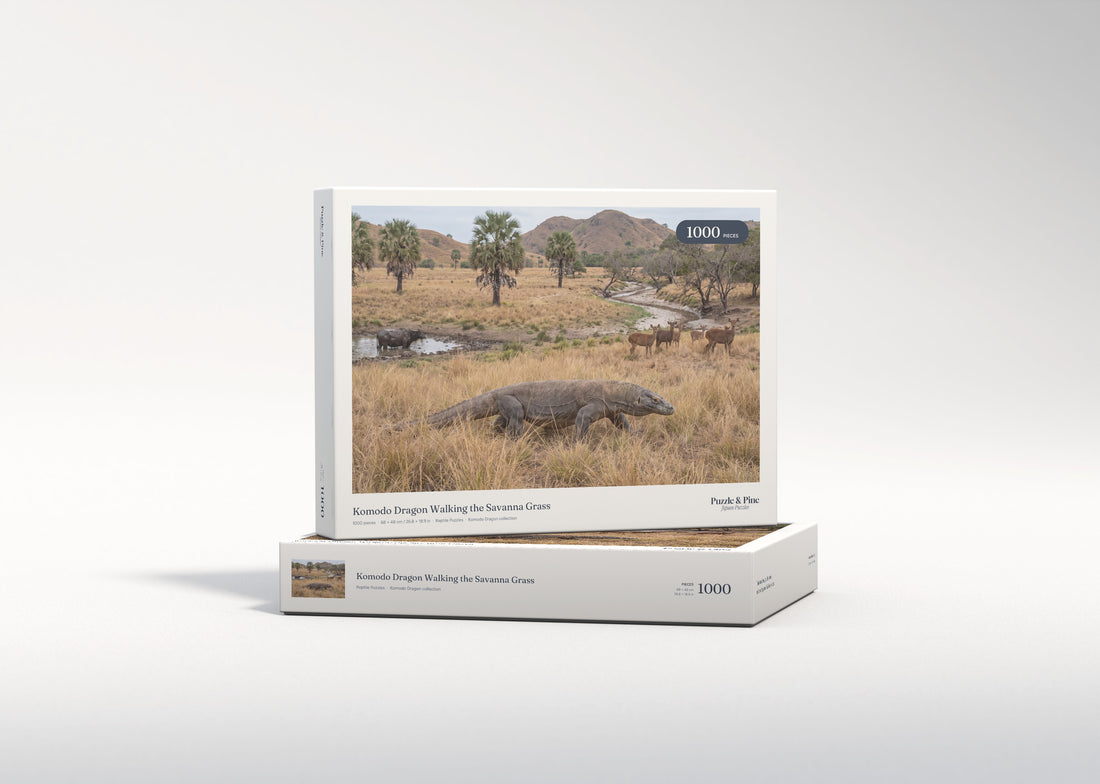 Komodo Dragon Walking the Savanna Grass jigsaw puzzle - gift box