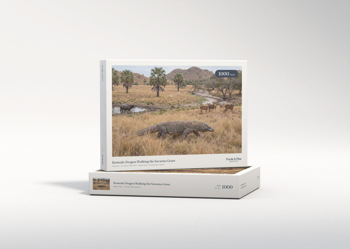 Komodo Dragon Walking the Savanna Grass jigsaw puzzle - gift box