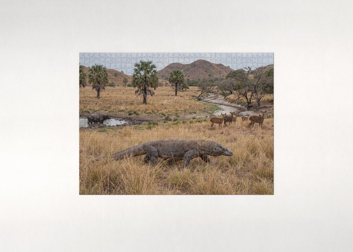 Komodo Dragon Walking the Savanna Grass jigsaw puzzle - flat puzzle