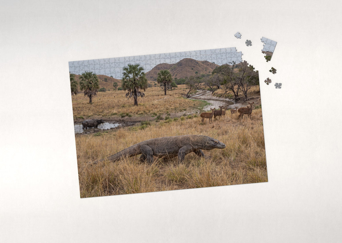 Komodo Dragon Walking the Savanna Grass jigsaw puzzle - puzzle with loose pieces