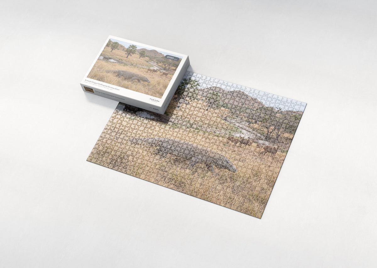 Komodo Dragon Walking the Savanna Grass jigsaw puzzle - box and puzzle