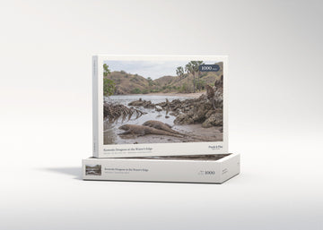 Komodo Dragons at the Water's Edge jigsaw puzzle - gift box