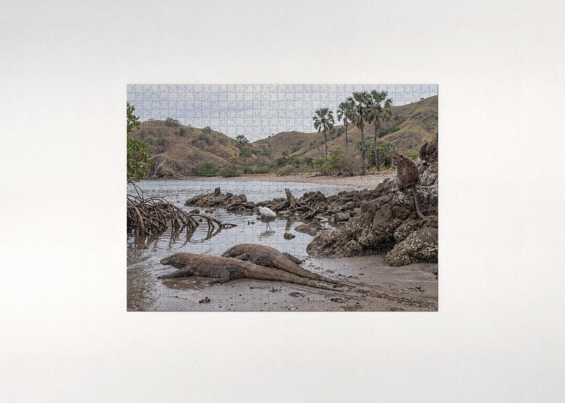 Komodo Dragons at the Water's Edge jigsaw puzzle - gift box
