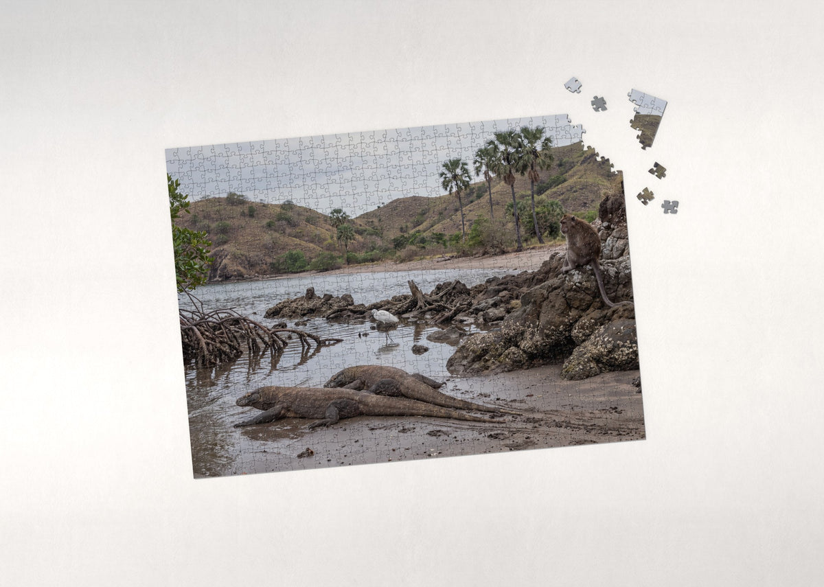 Komodo Dragons at the Water's Edge jigsaw puzzle - puzzle with loose pieces