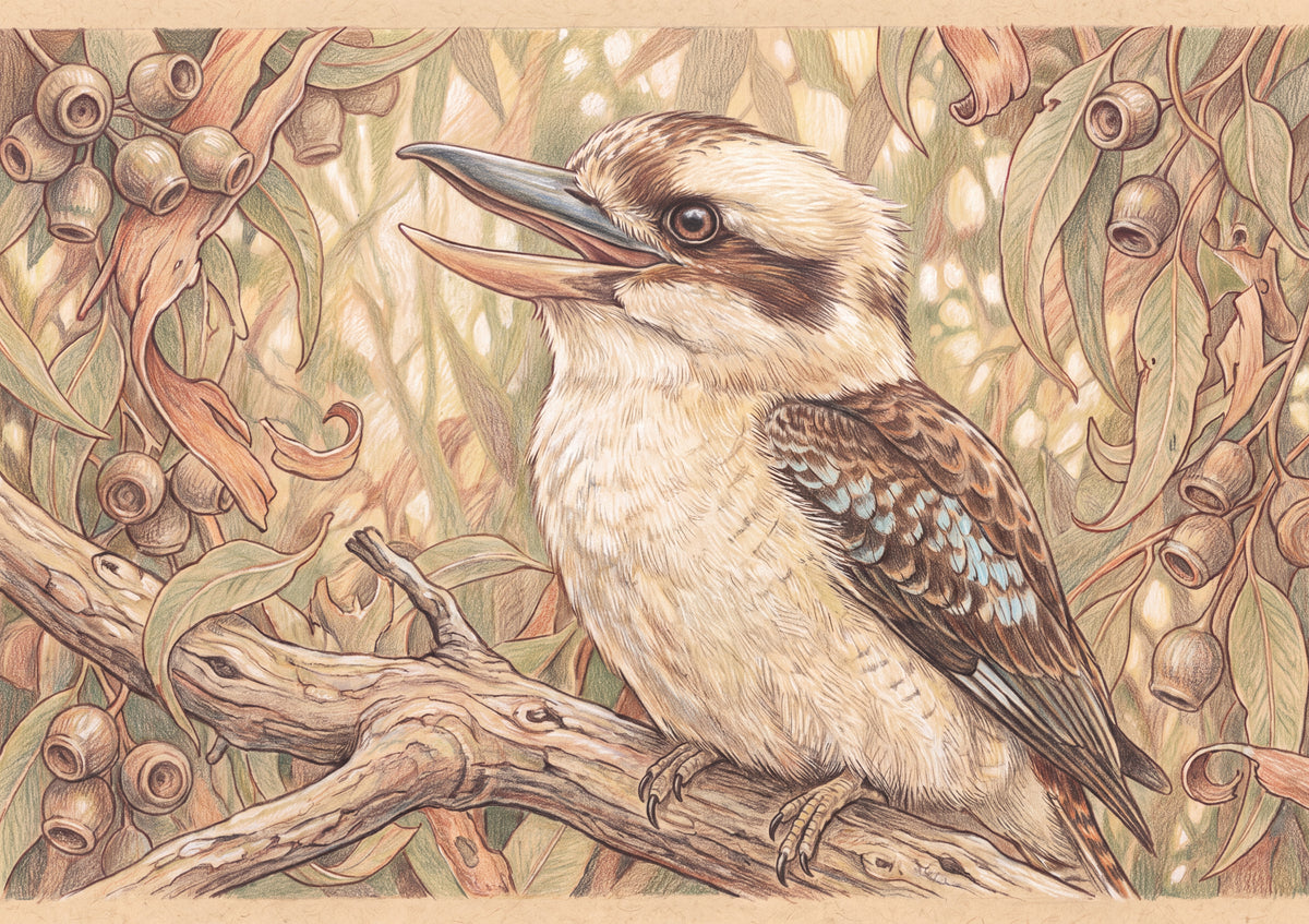 Kookaburra Portrait jigsaw puzzle