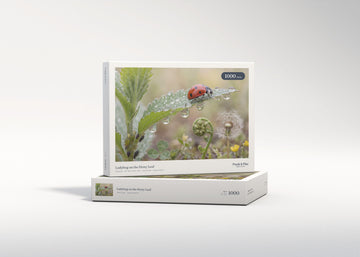 Ladybug on the Dewy Leaf jigsaw puzzle - gift box