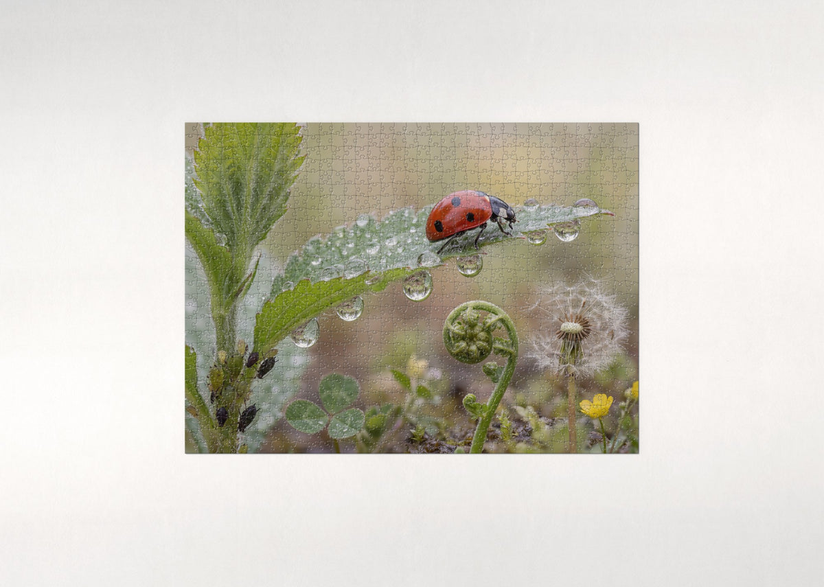 Ladybug on the Dewy Leaf jigsaw puzzle - flat puzzle