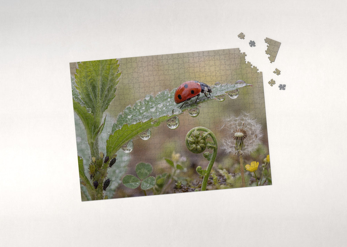 Ladybug on the Dewy Leaf jigsaw puzzle - puzzle with loose pieces