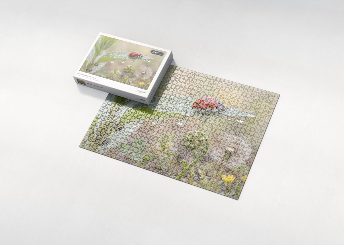 Ladybug on the Dewy Leaf jigsaw puzzle - box and puzzle
