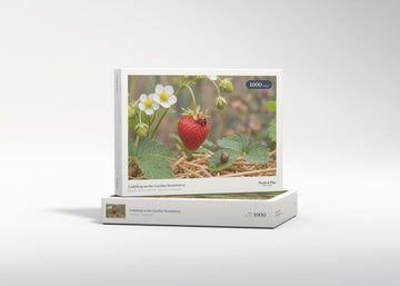 Ladybug on the Garden Strawberry jigsaw puzzle - gift box