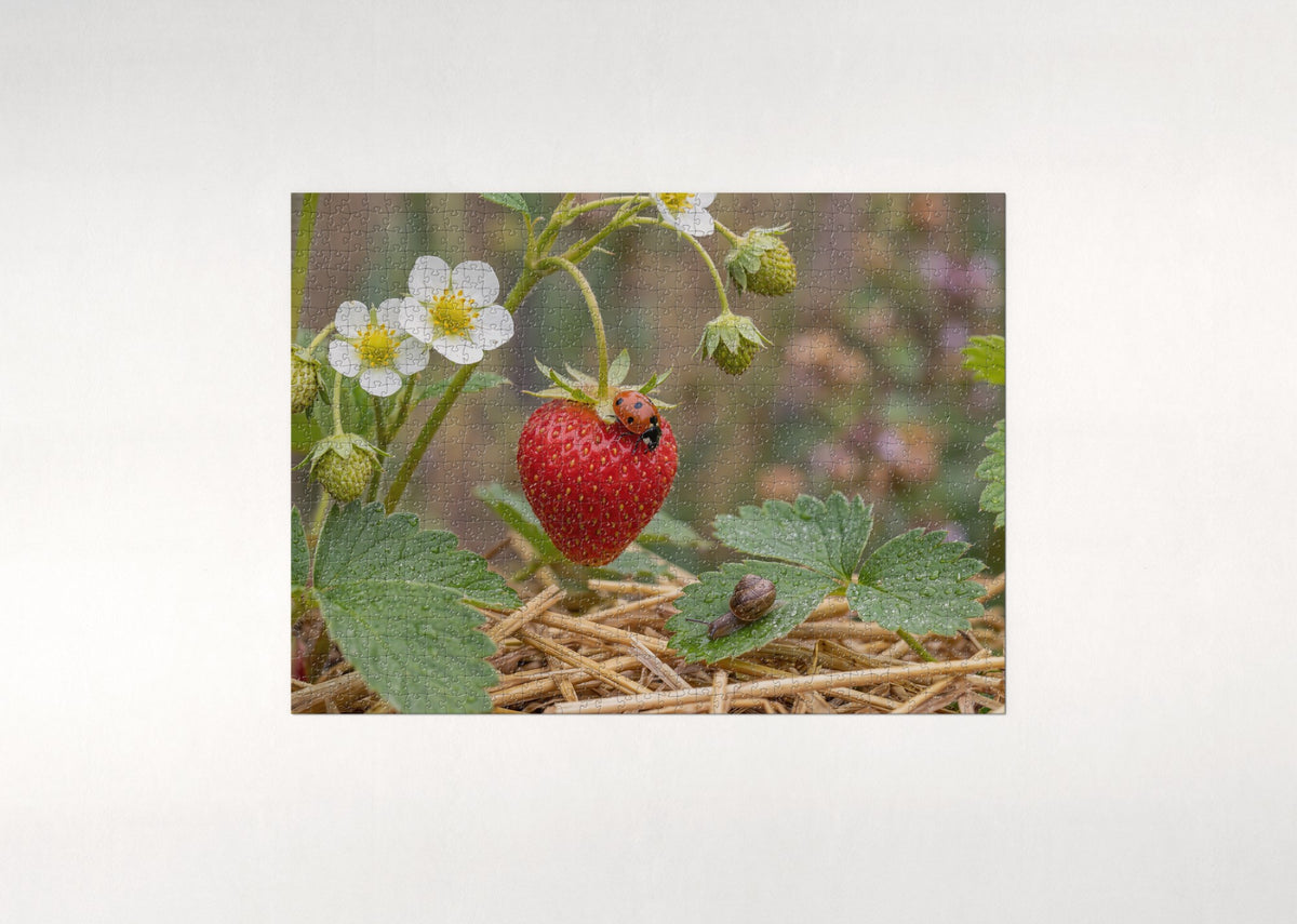 Ladybug on the Garden Strawberry jigsaw puzzle - flat puzzle