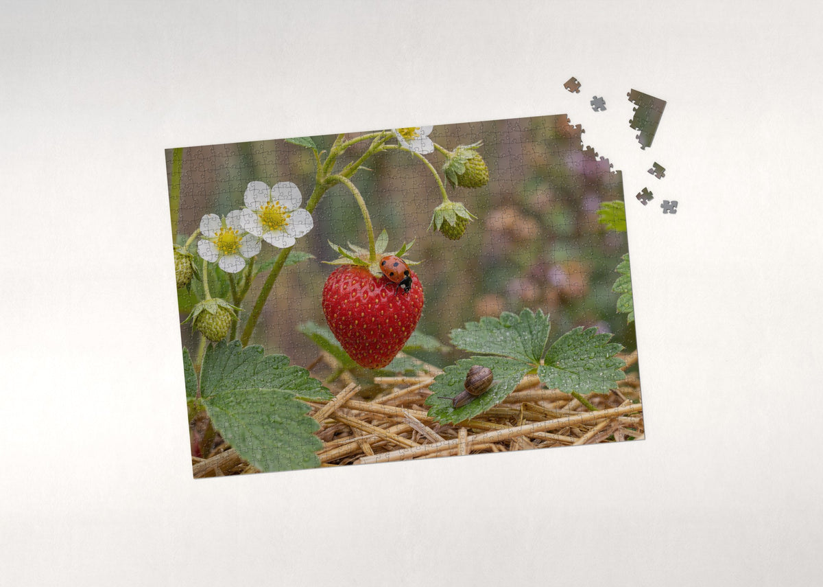 Ladybug on the Garden Strawberry jigsaw puzzle - puzzle with loose pieces