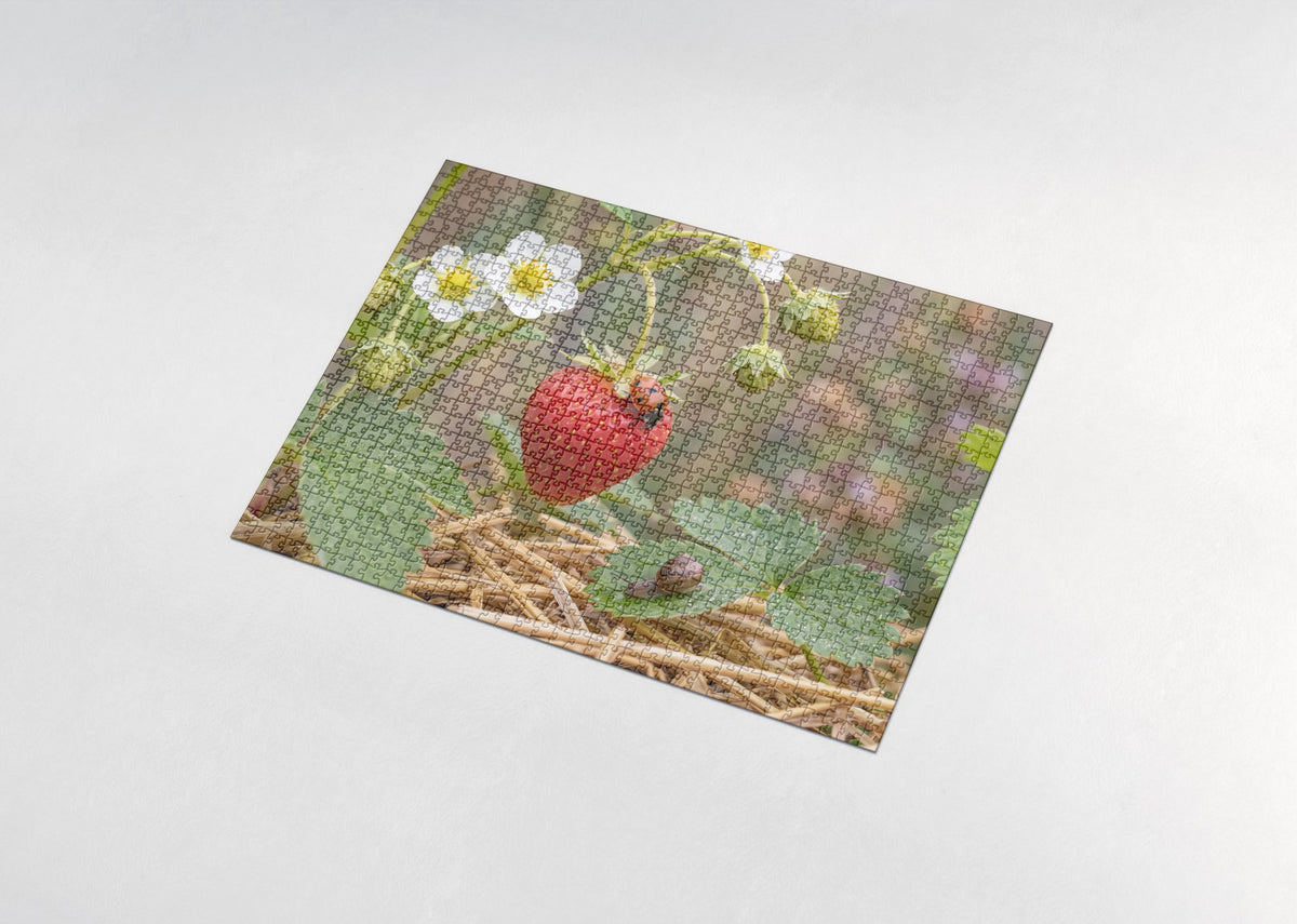 Ladybug on the Garden Strawberry jigsaw puzzle - assembled puzzle