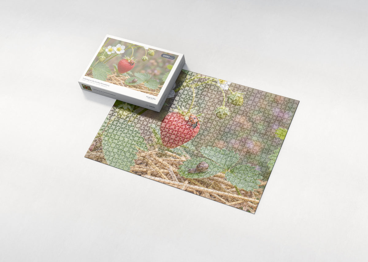 Ladybug on the Garden Strawberry jigsaw puzzle - box and puzzle