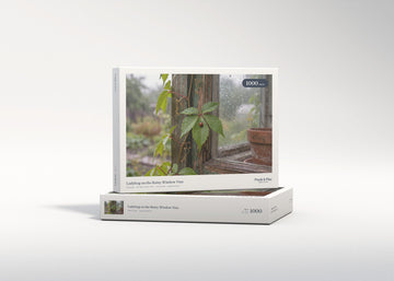 Ladybug on the Rainy Window Vine jigsaw puzzle - gift box