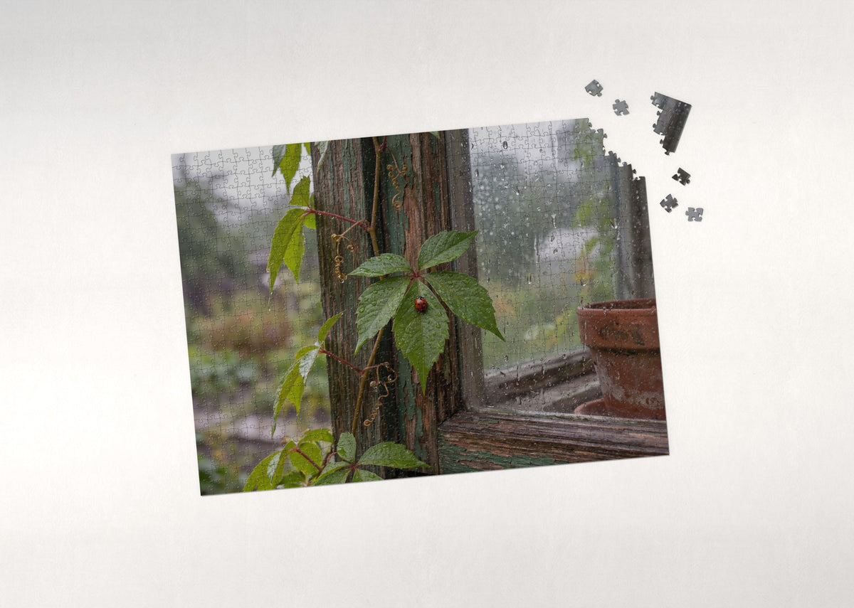 Ladybug on the Rainy Window Vine jigsaw puzzle - puzzle with loose pieces