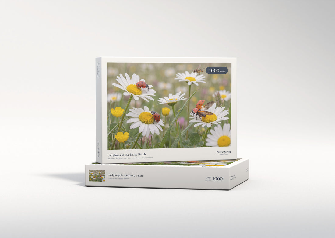 Ladybugs in the Daisy Patch jigsaw puzzle - gift box