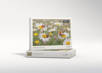 Ladybugs in the Daisy Patch jigsaw puzzle - gift box