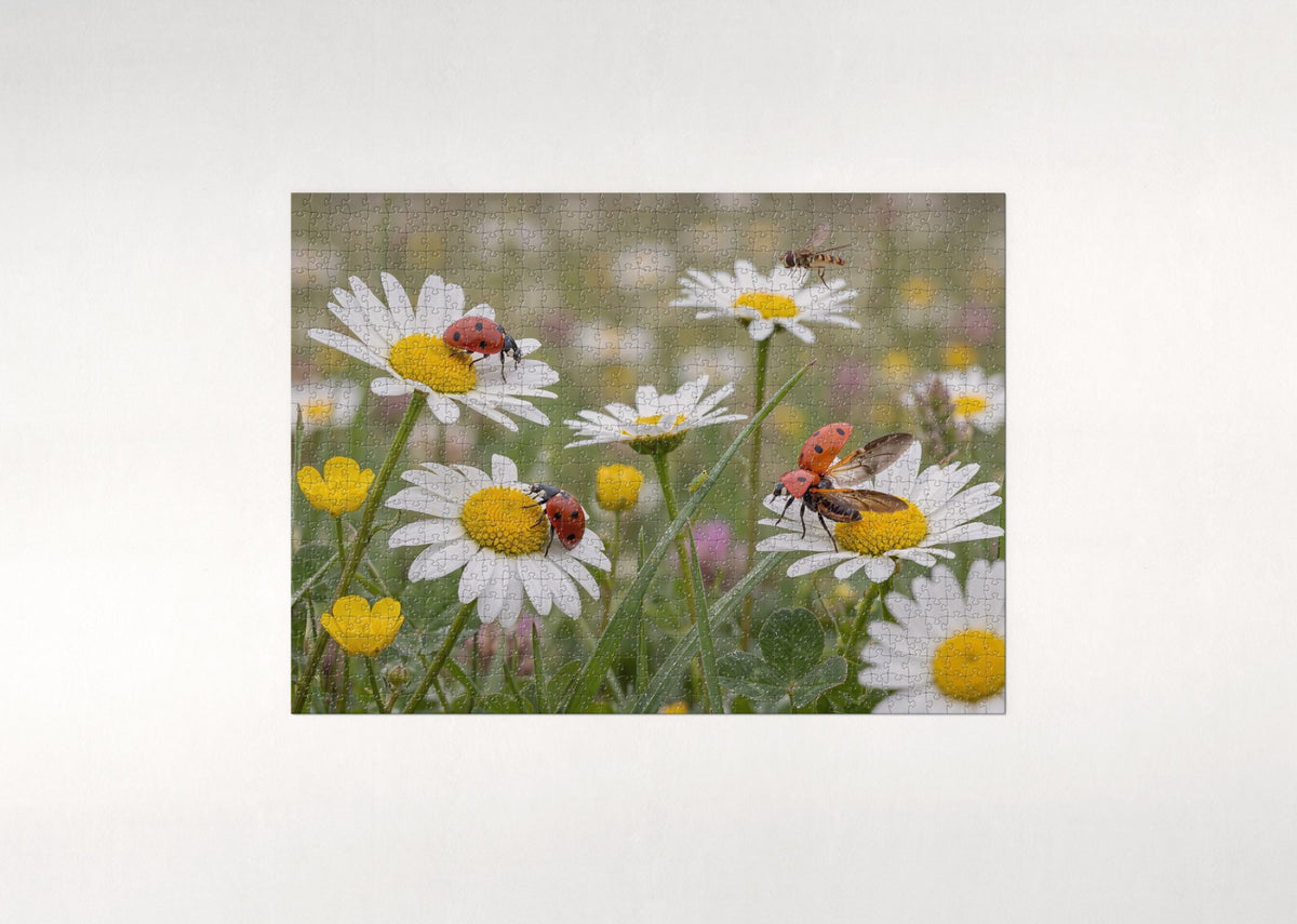 Ladybugs in the Daisy Patch jigsaw puzzle - flat puzzle