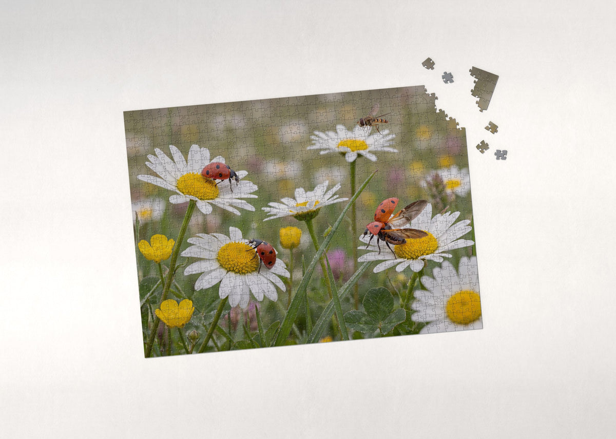 Ladybugs in the Daisy Patch jigsaw puzzle - puzzle with loose pieces
