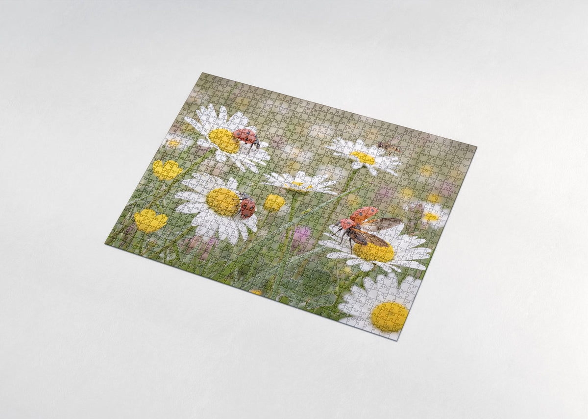 Ladybugs in the Daisy Patch jigsaw puzzle - assembled puzzle