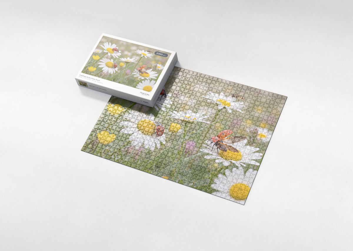 Ladybugs in the Daisy Patch jigsaw puzzle - box and puzzle