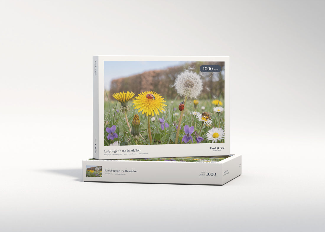 Ladybugs on the Dandelion jigsaw puzzle - gift box