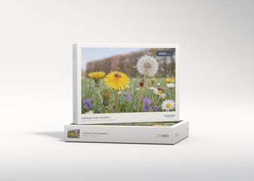 Ladybugs on the Dandelion jigsaw puzzle - gift box