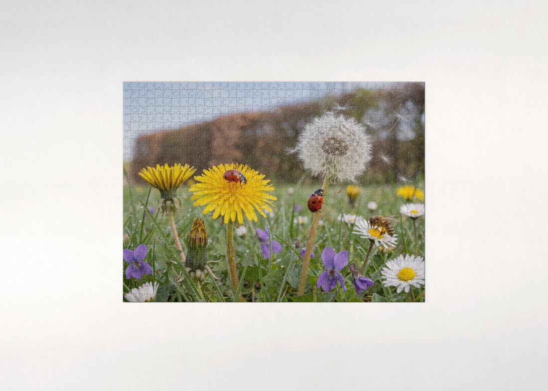 Ladybugs on the Dandelion jigsaw puzzle - gift box