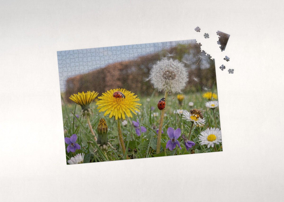 Ladybugs on the Dandelion jigsaw puzzle - puzzle with loose pieces