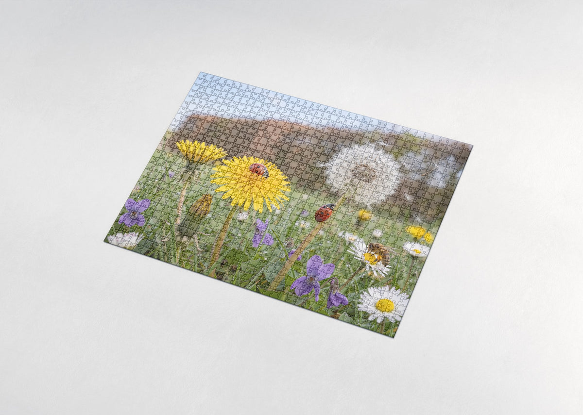 Ladybugs on the Dandelion jigsaw puzzle - assembled puzzle