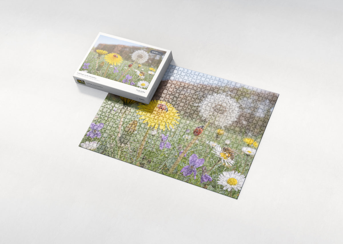 Ladybugs on the Dandelion jigsaw puzzle - box and puzzle