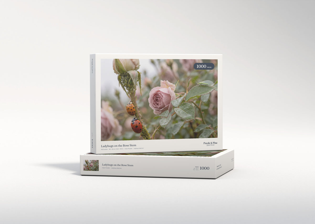 Ladybugs on the Rose Stem jigsaw puzzle - gift box