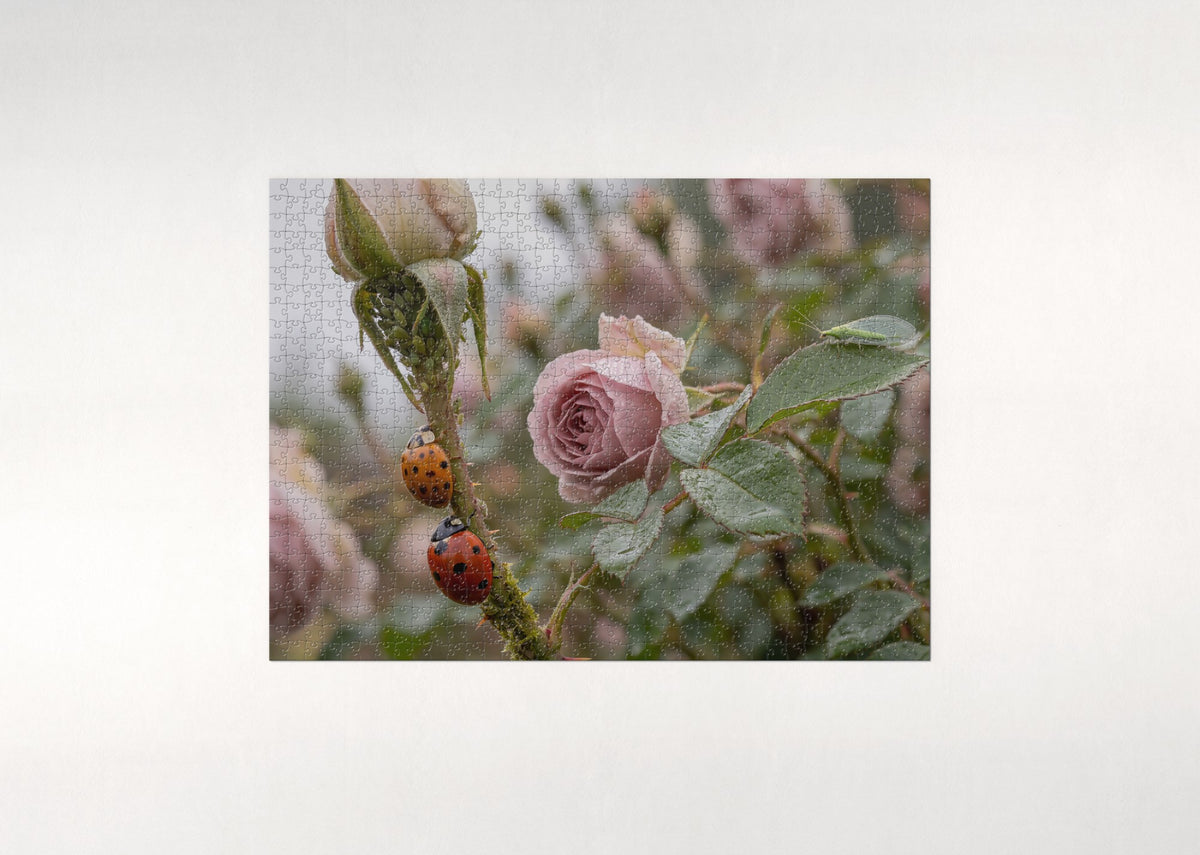Ladybugs on the Rose Stem jigsaw puzzle - flat puzzle